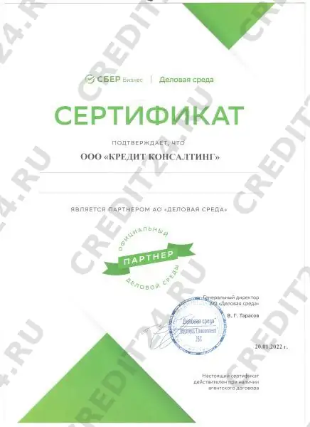 Партнёрский сертификат — Сбер · Деловая среда
